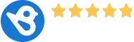 BirdEye 4.9 star rating