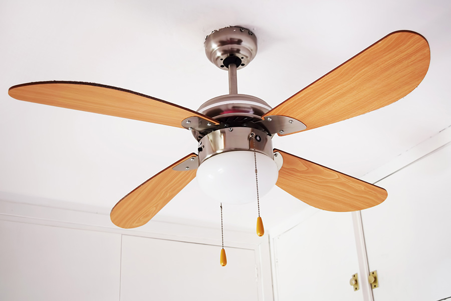 Ceiling fan with light